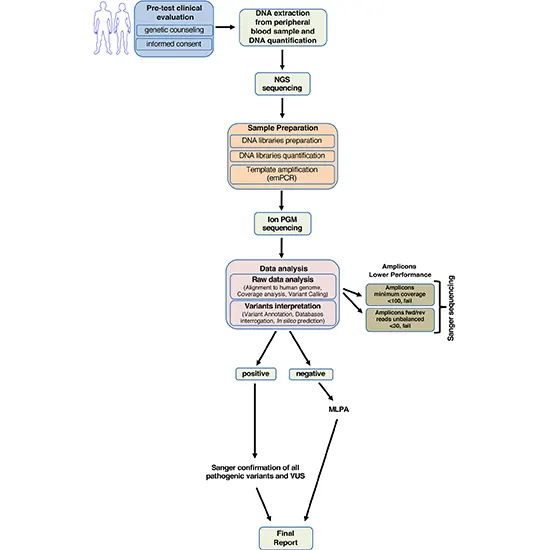 brca1 mutation analysis (sequencing) test
